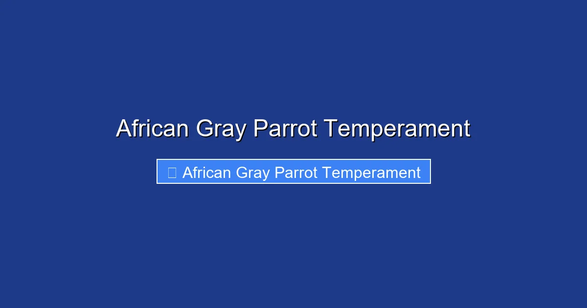 African Gray Parrot Temperament