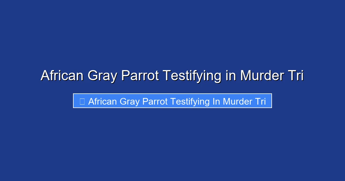 African Gray Parrot Testifying in Murder Tri