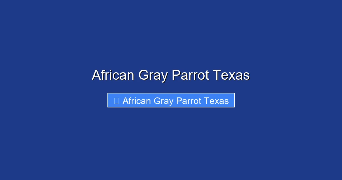African Gray Parrot Texas