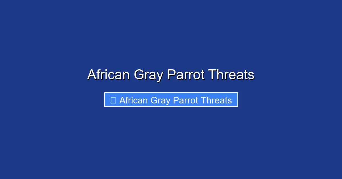 African Gray Parrot Threats