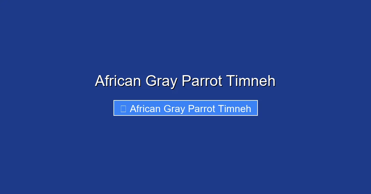 African Gray Parrot Timneh