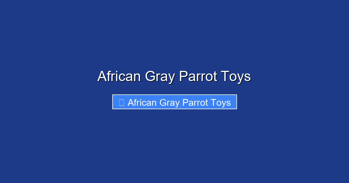 African Gray Parrot Toys