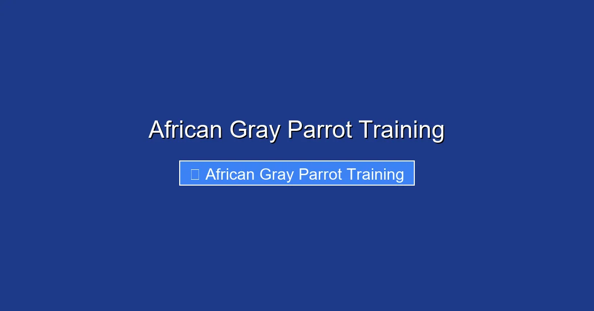 African Gray Parrot Training