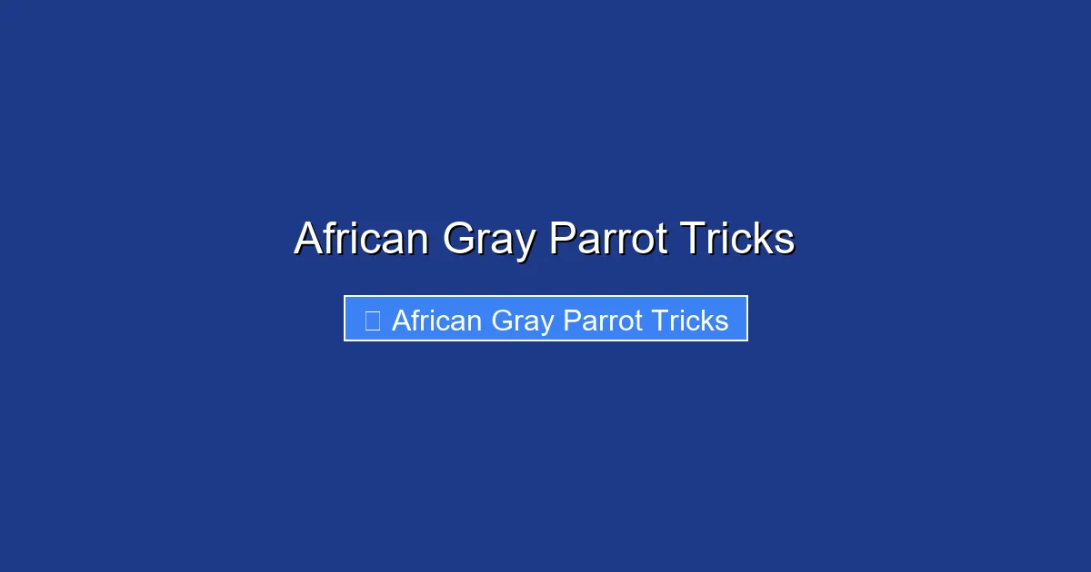 African Gray Parrot Tricks