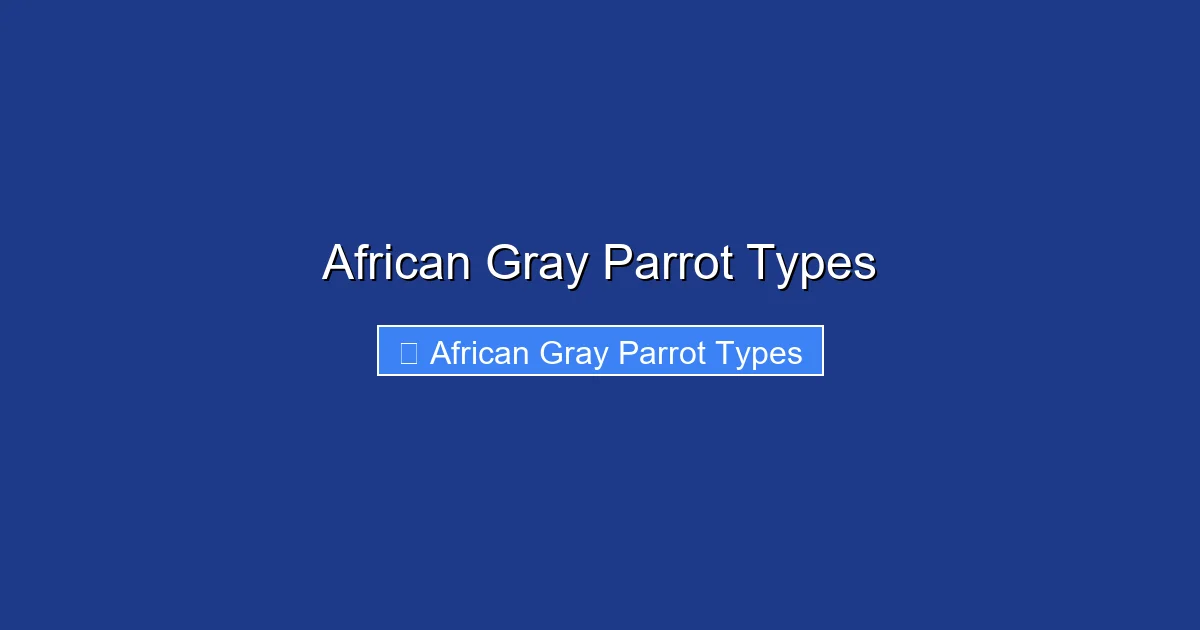 African Gray Parrot Types