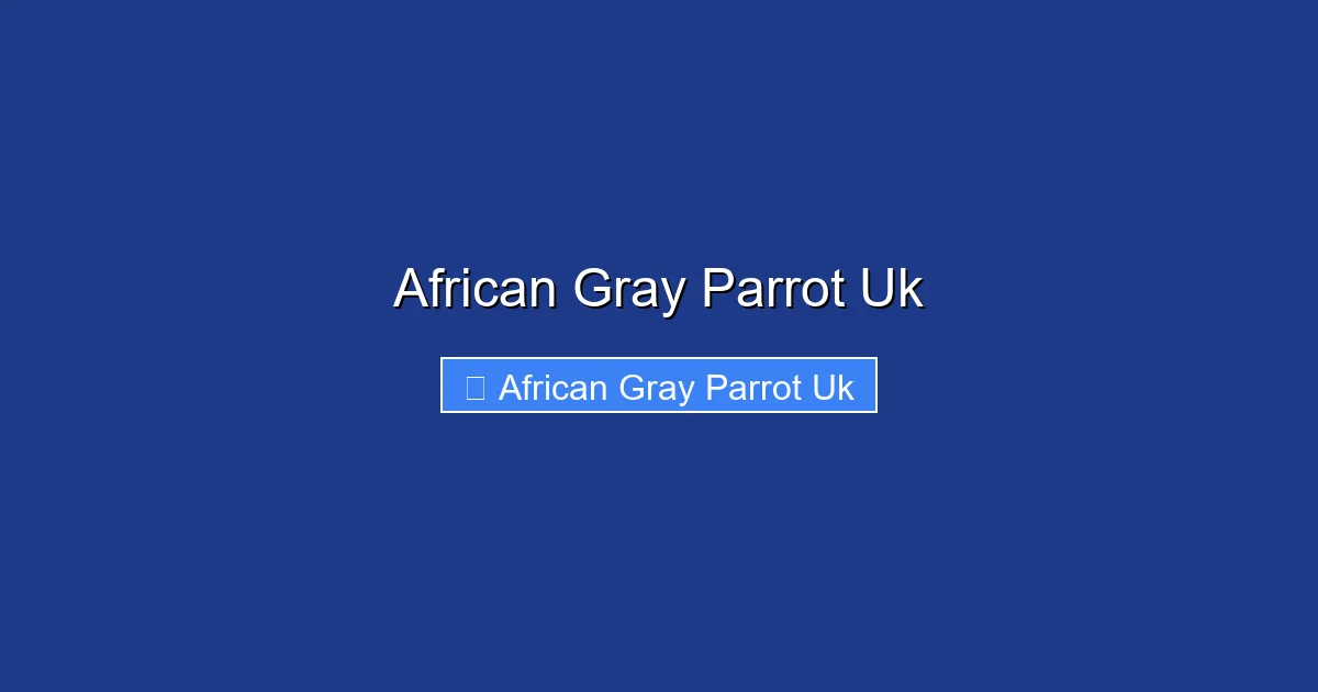 African Gray Parrot Uk