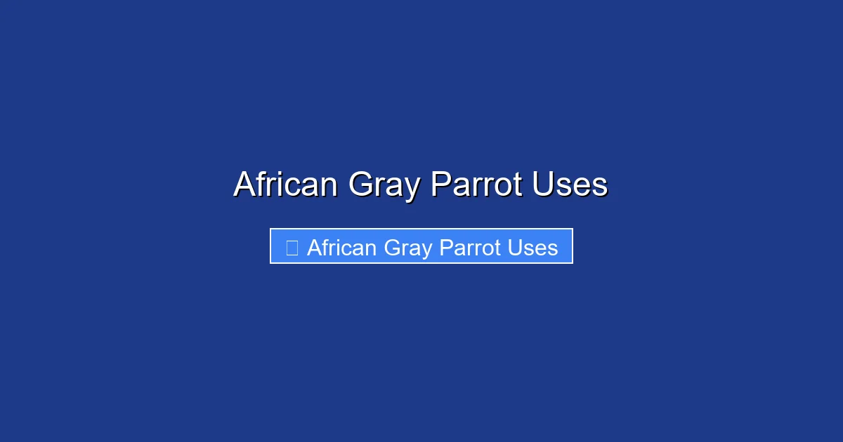 African Gray Parrot Uses