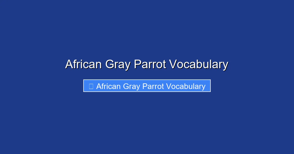 African Gray Parrot Vocabulary