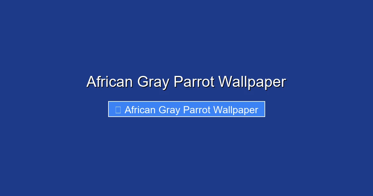 African Gray Parrot Wallpaper