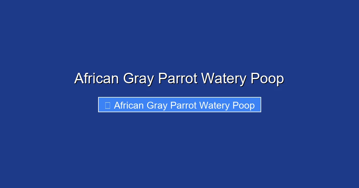 African Gray Parrot Watery Poop
