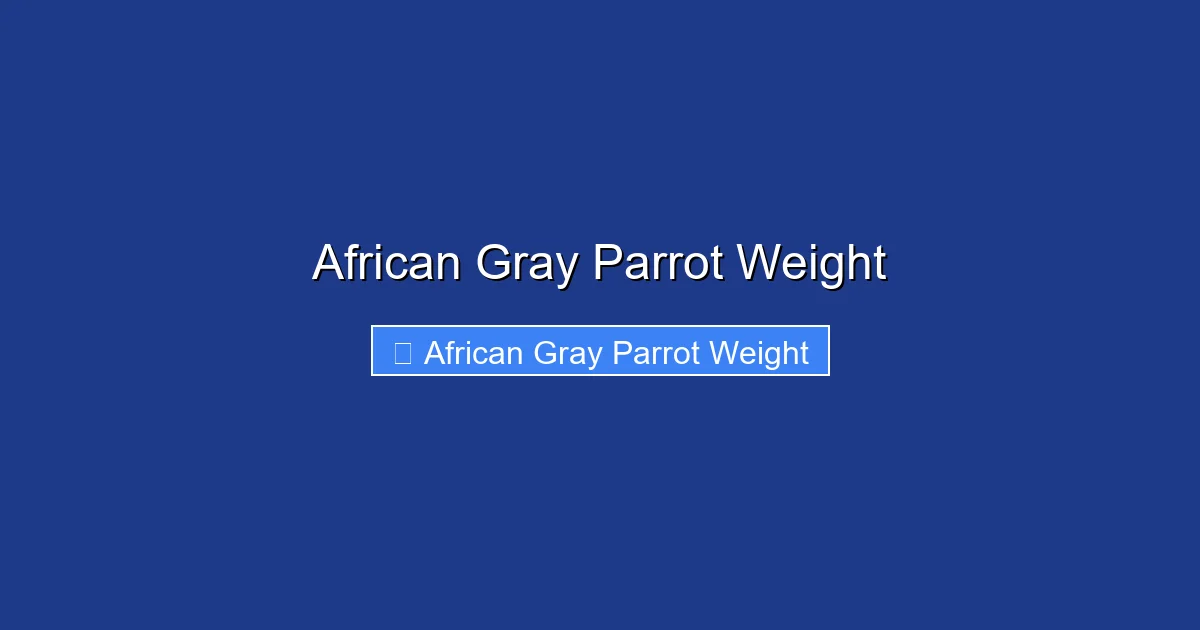 African Gray Parrot Weight