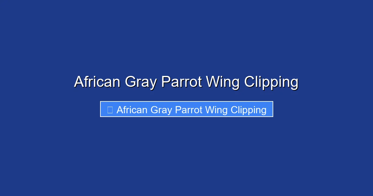 African Gray Parrot Wing Clipping