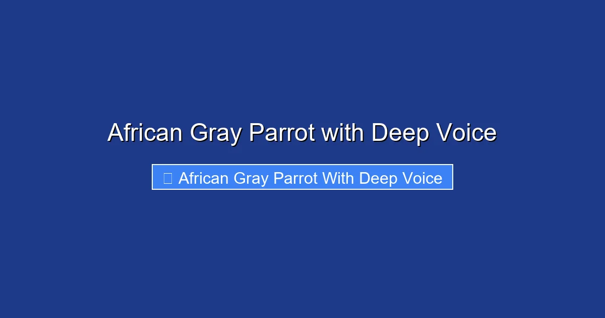 African Gray Parrot with Deep Voice