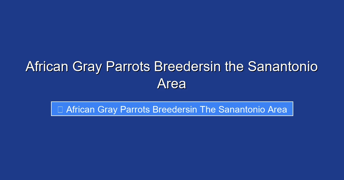 African Gray Parrots Breedersin the Sanantonio Area