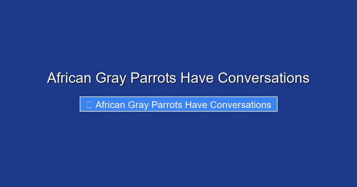 African Gray Parrots Have Conversations
