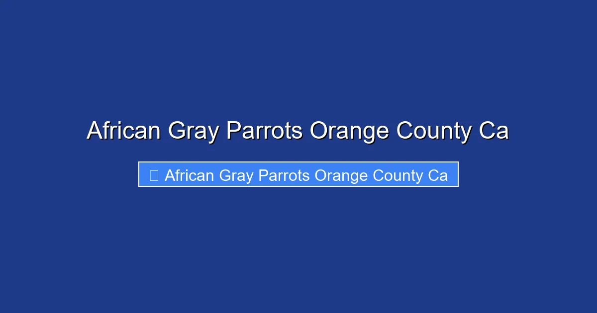 African Gray Parrots Orange County Ca