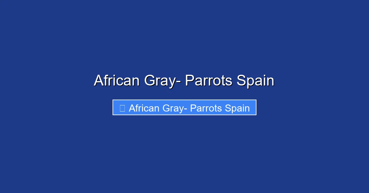 African Gray- Parrots Spain
