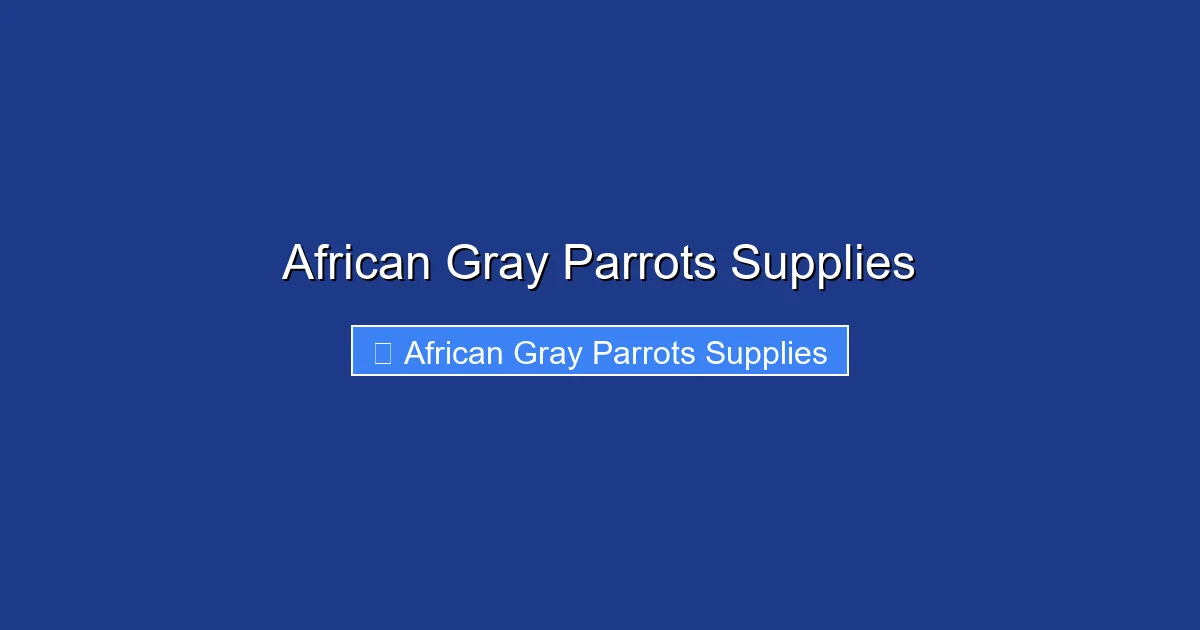 African Gray Parrots Supplies