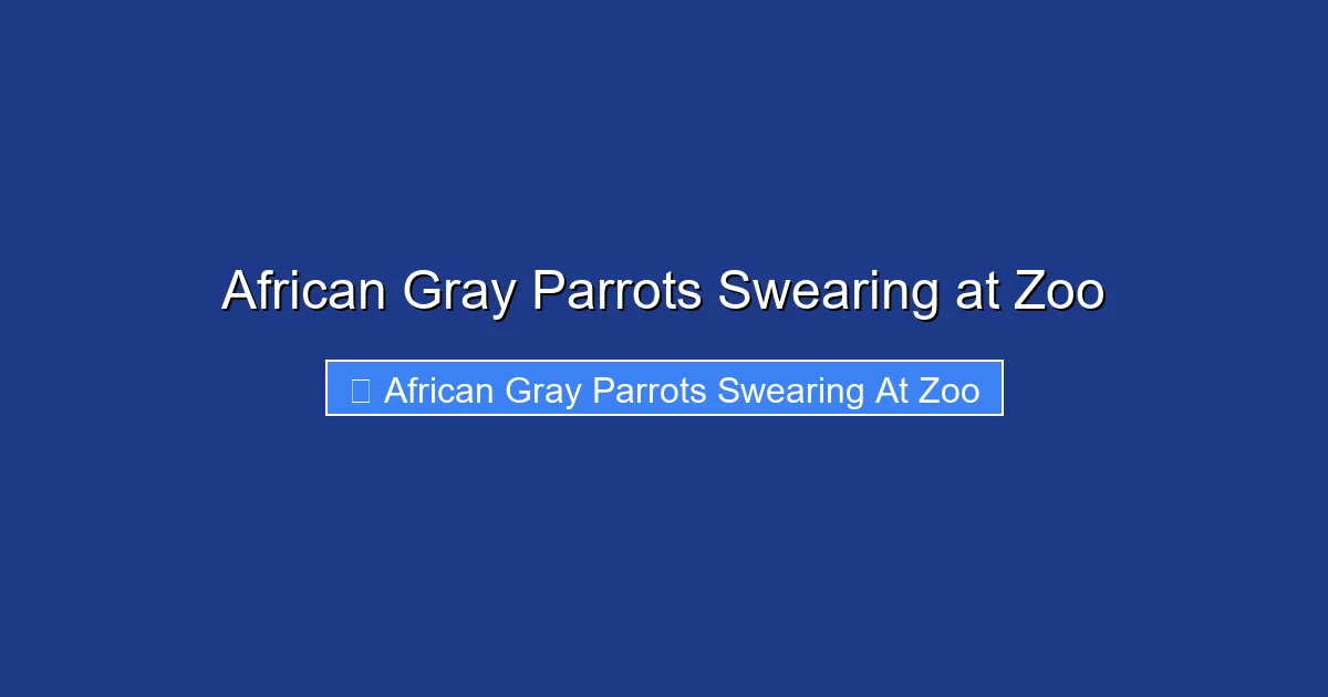 African Gray Parrots Swearing at Zoo