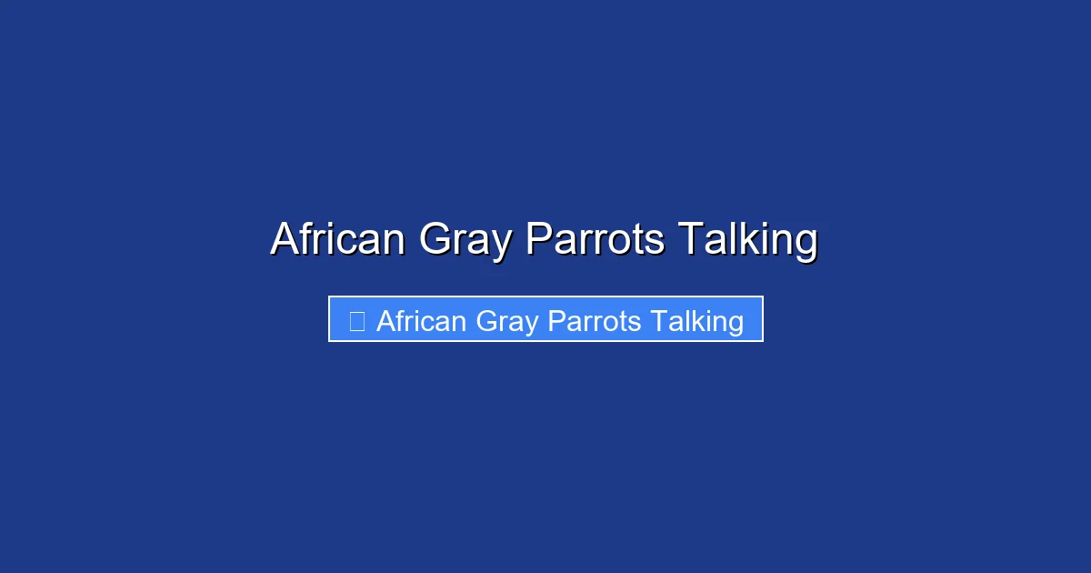 African Gray Parrots Talking