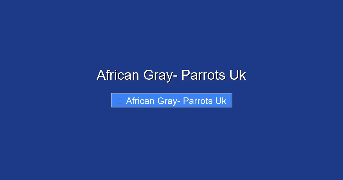 African Gray- Parrots Uk