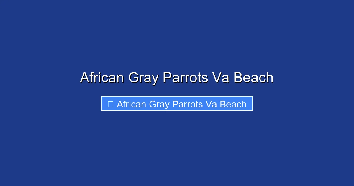 African Gray Parrots Va Beach
