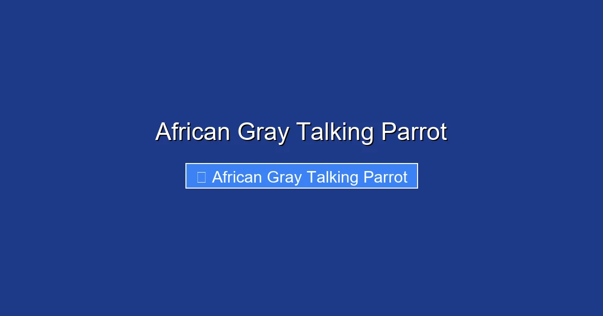 African Gray Talking Parrot