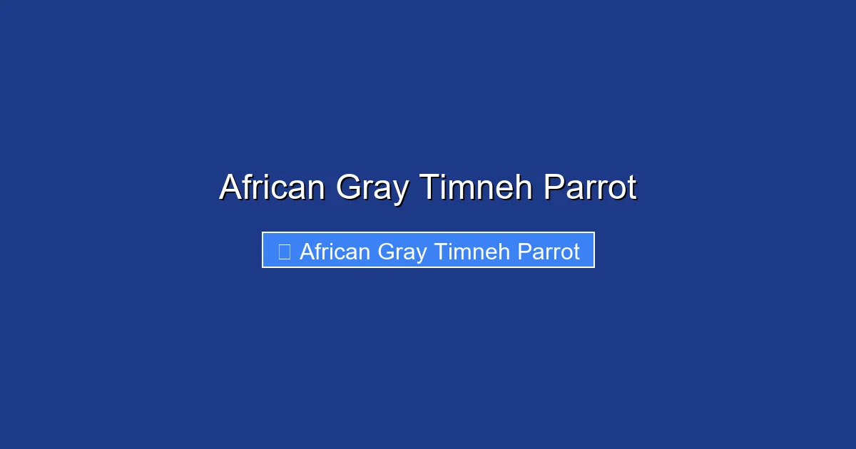 African Gray Timneh Parrot
