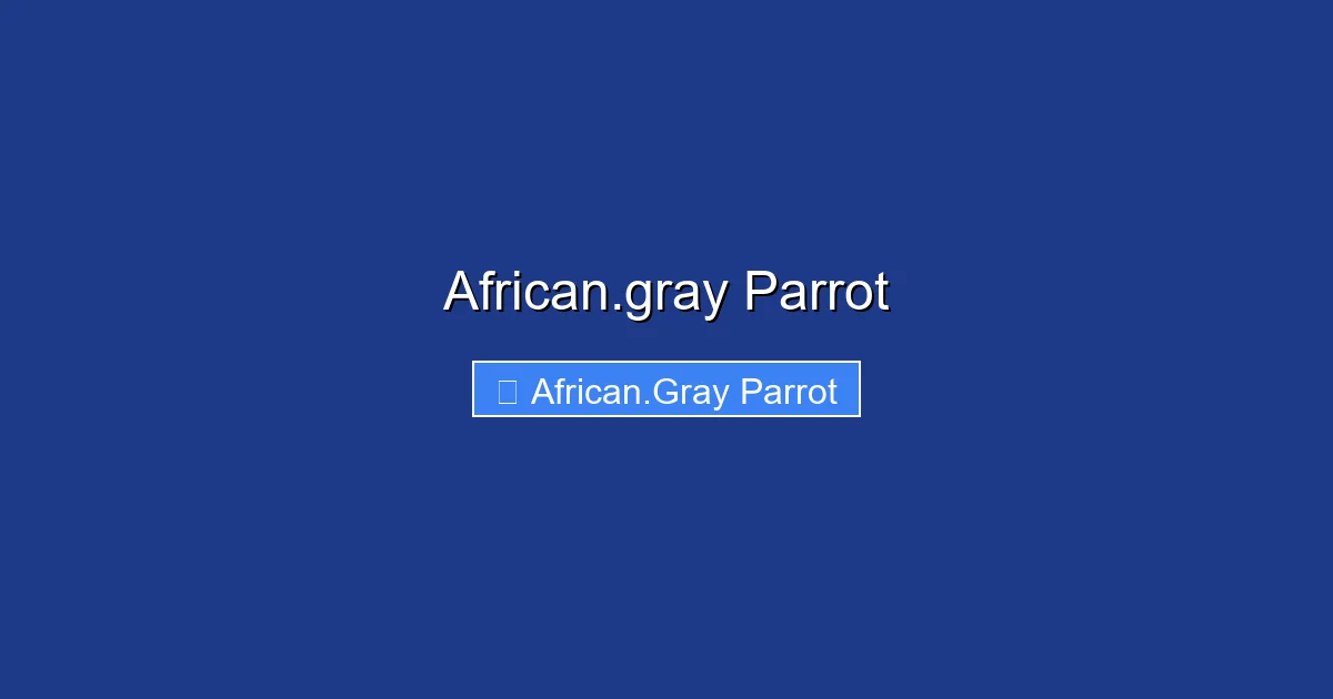 African.gray Parrot