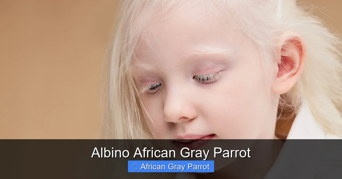 Albino African Gray Parrot