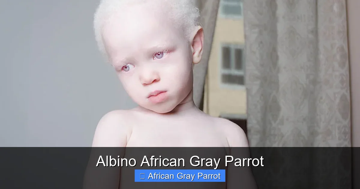 Albino African Gray Parrot
