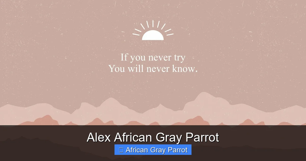 Alex African Gray Parrot