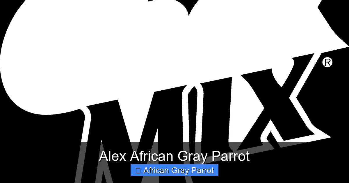 Alex African Gray Parrot