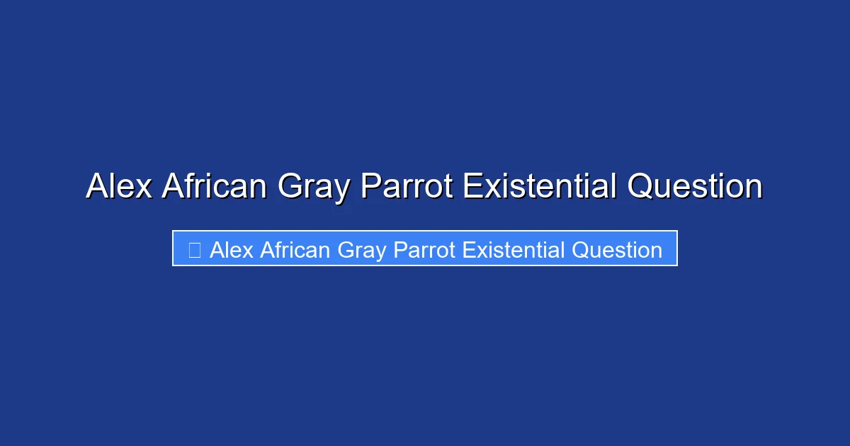Alex African Gray Parrot Existential Question