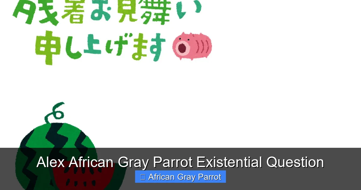 Alex African Gray Parrot Existential Question
