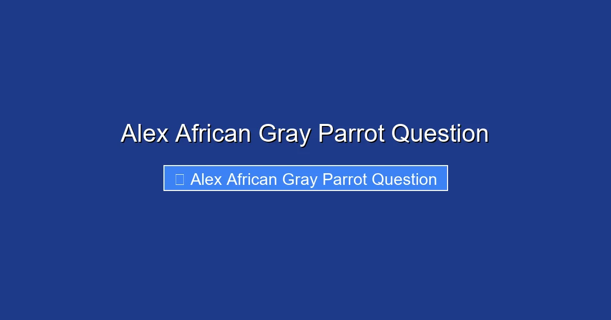 Alex African Gray Parrot Question