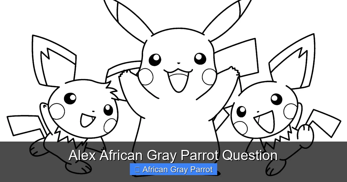 Alex African Gray Parrot Question