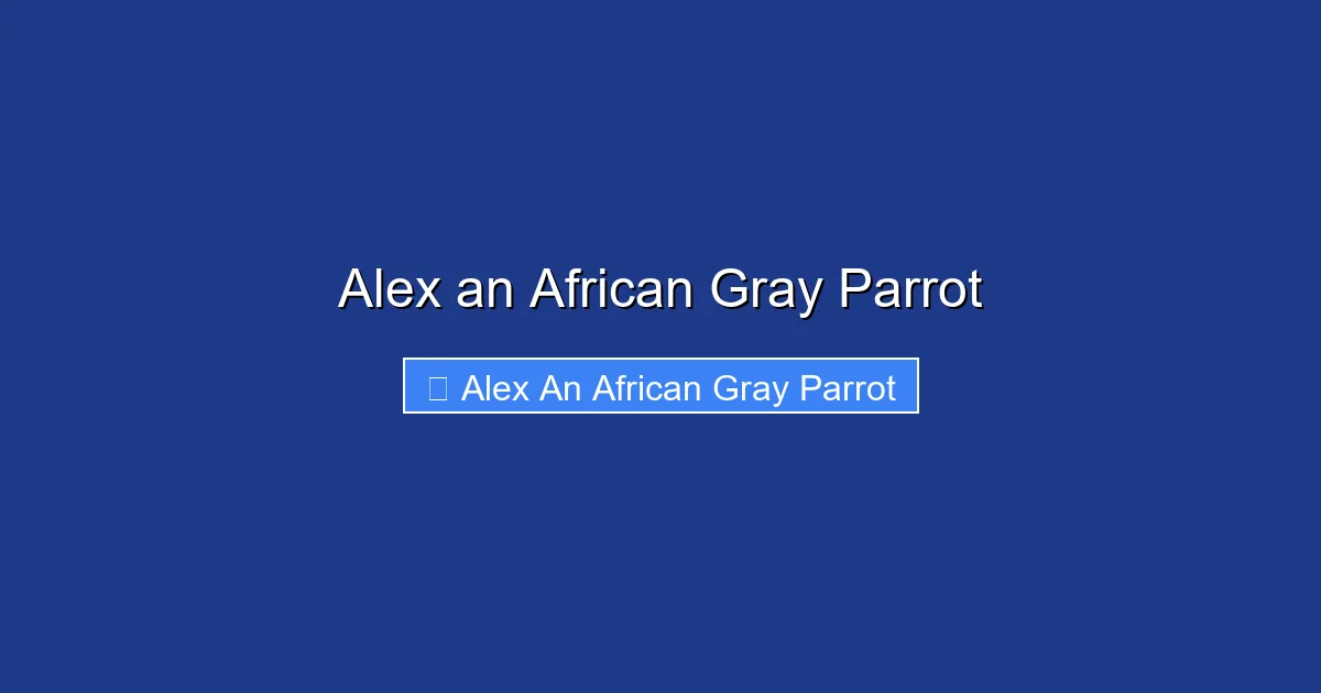 Alex an African Gray Parrot