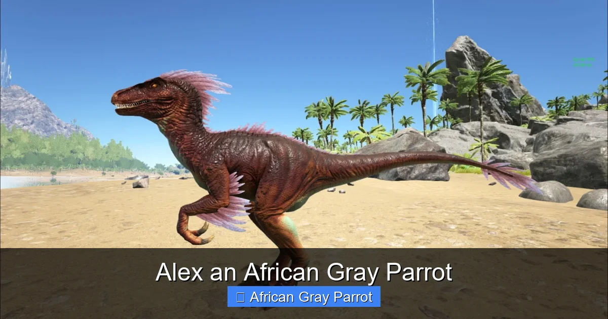 Alex an African Gray Parrot