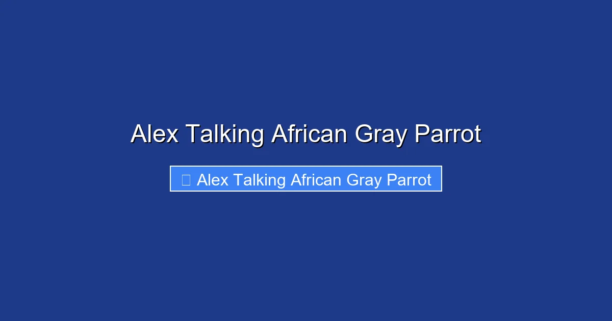 Alex Talking African Gray Parrot