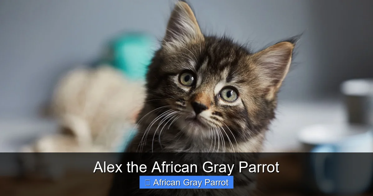 Alex the African Gray Parrot