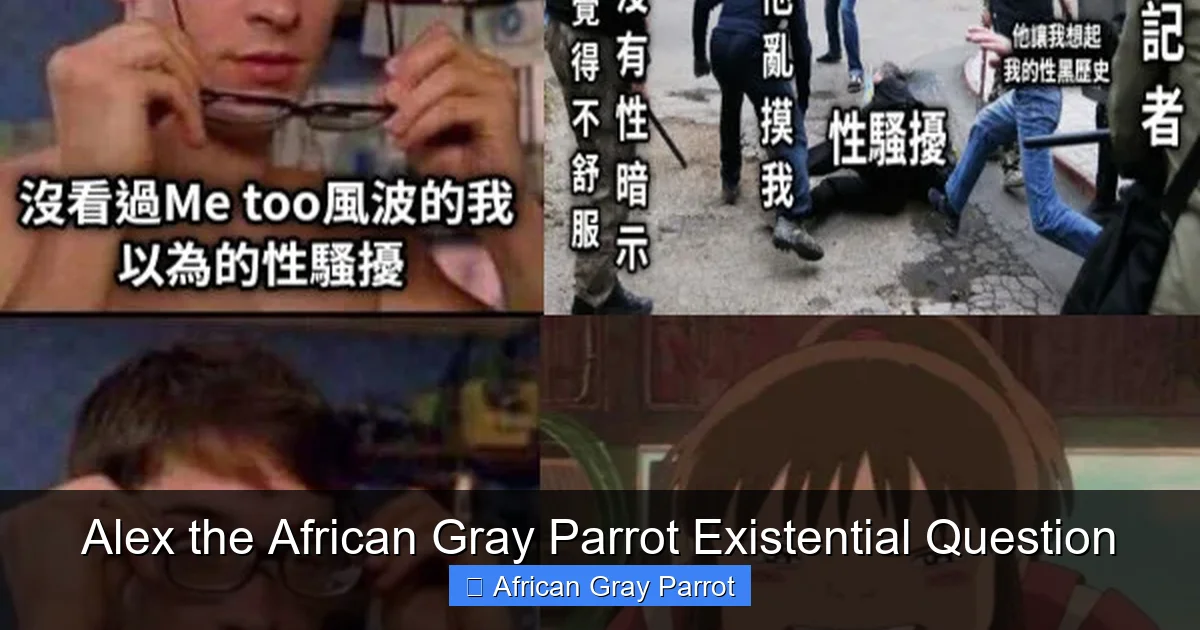 Alex the African Gray Parrot Existential Question