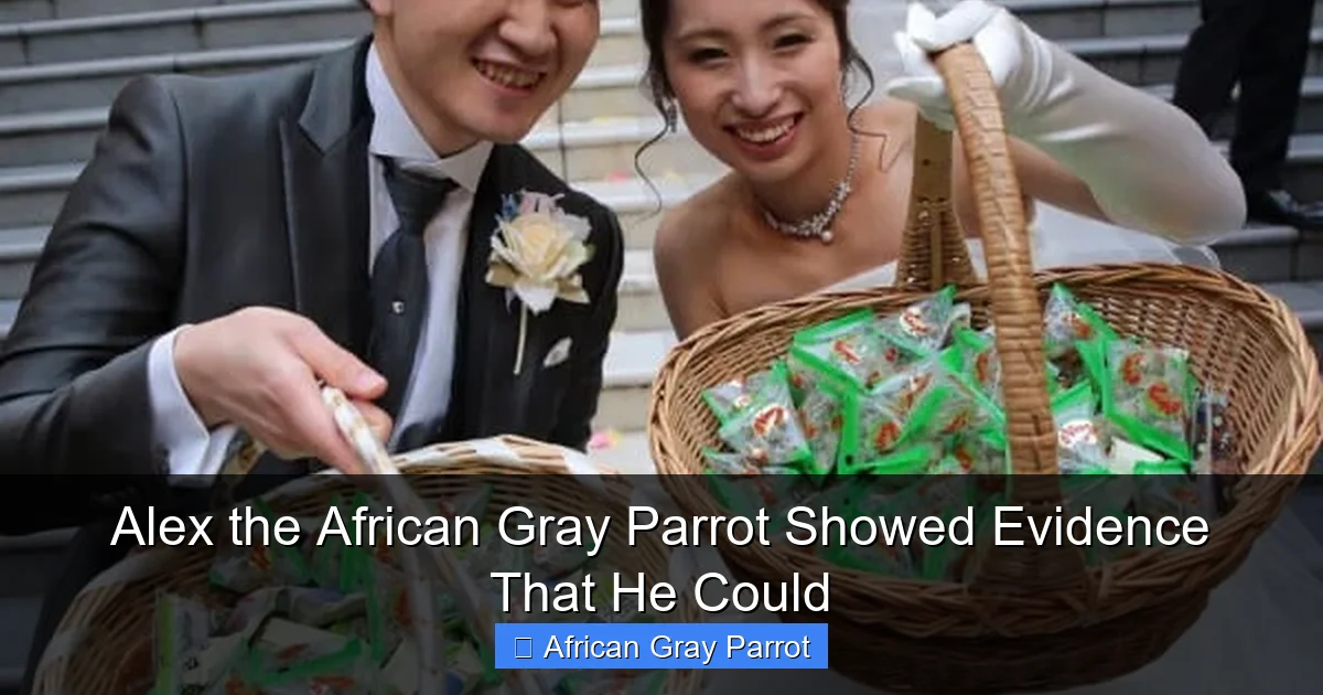 Alex the African Gray Parrot Showed Evidence That He Could