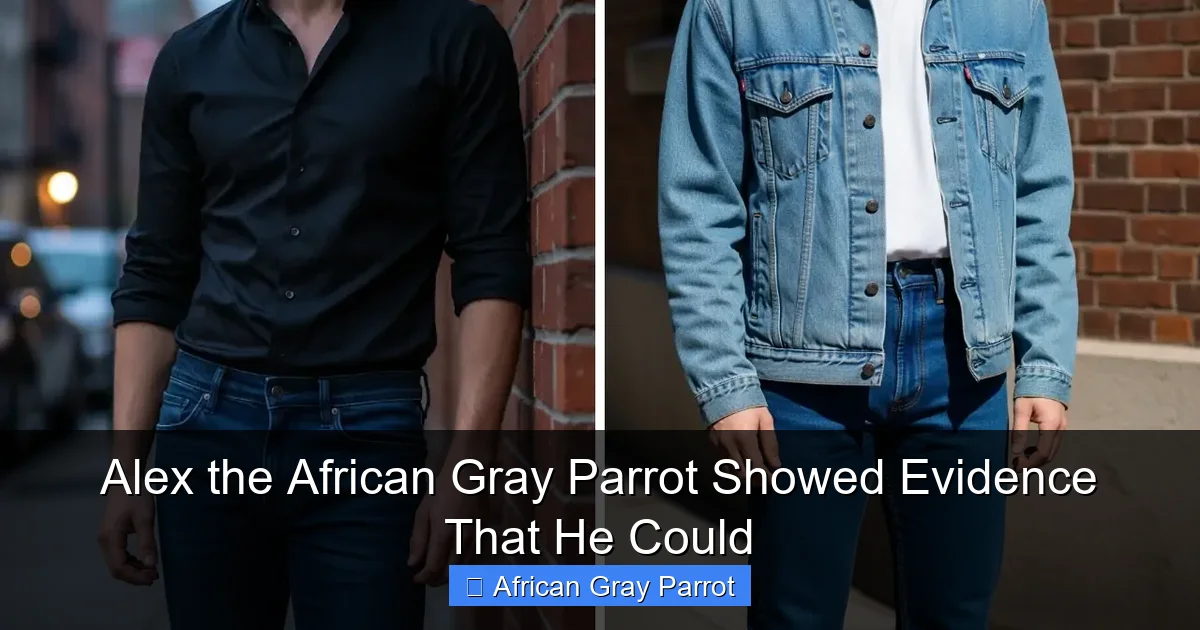 Alex the African Gray Parrot Showed Evidence That He Could
