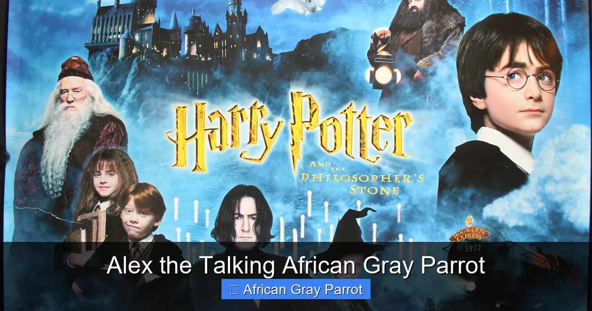 Alex the Talking African Gray Parrot