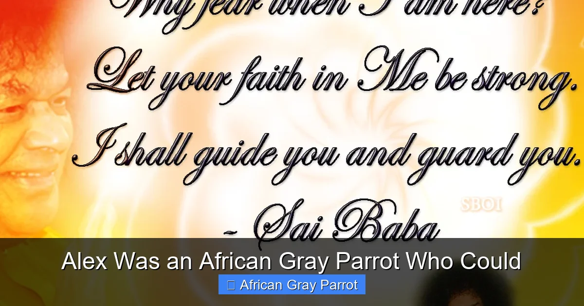 Alex Was an African Gray Parrot Who Could