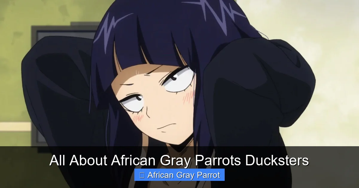 All About African Gray Parrots Ducksters