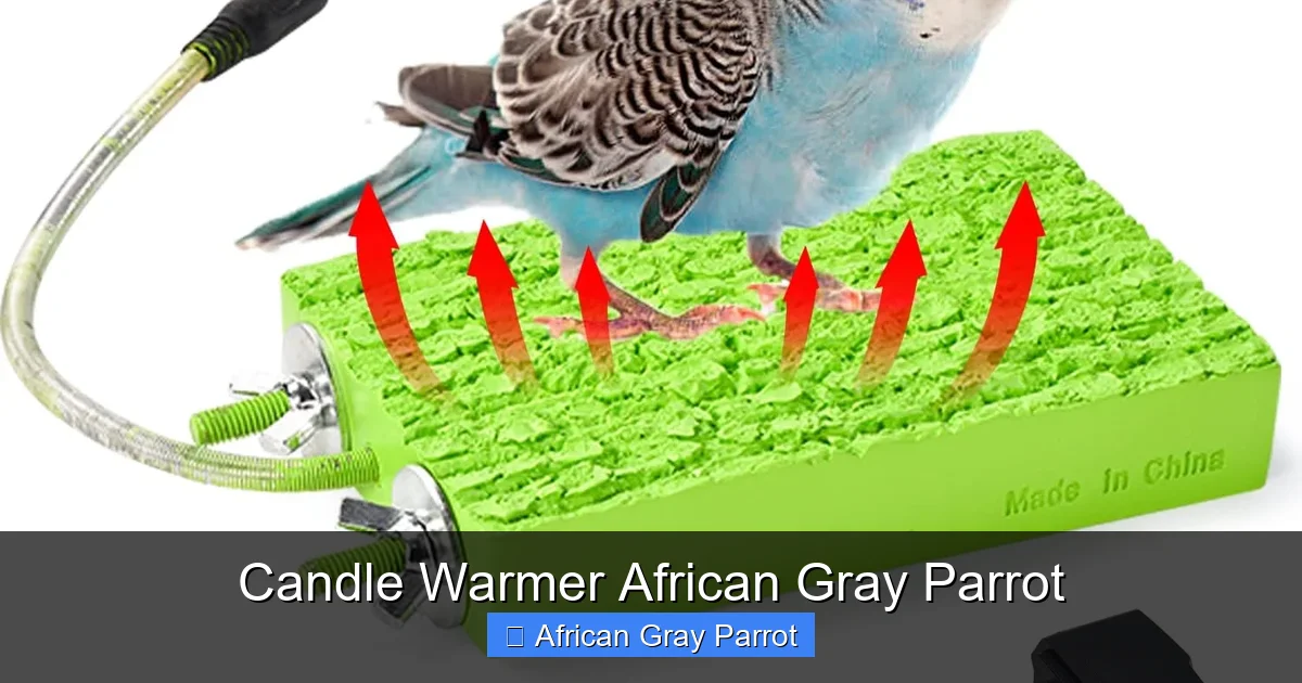 Candle Warmer African Gray Parrot