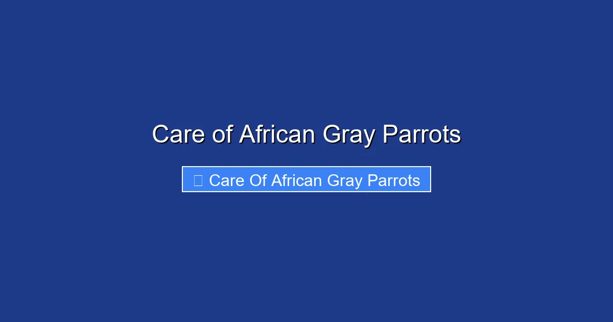 Care of African Gray Parrots