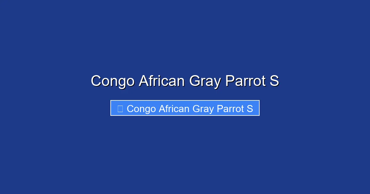 Congo African Gray Parrot S